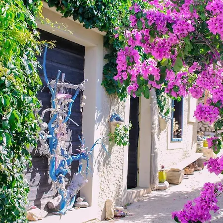 Islandescape-bisevo Orman Evi